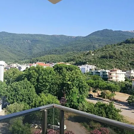 Şeref Vural Daire