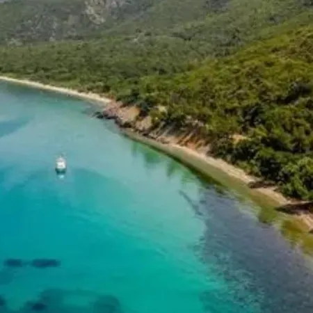 Şeref Vural Daire