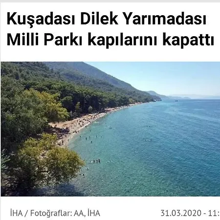 Şeref Vural Daire